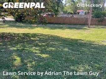 Lawn Mow nearby Nashville, TN, 