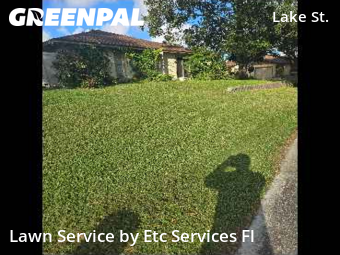 Lawn Carein Palm Harbor,34684,Lawn Mowing Service by Etc Services Fl, work completed in Nov , 2025