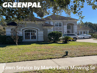 Grass Cut nearby Jacksonville, FL, 