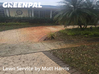 Grass Cutting nearby Plantation, FL, 