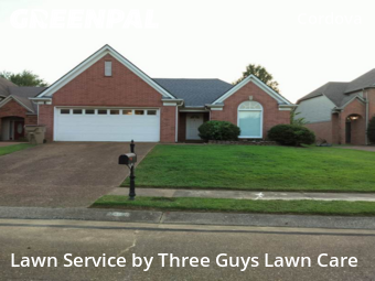 Property Maintenance in Cordova, 38016, Backyard Mowing by Three Guys Lawn Care, work completed in Nov , 2025