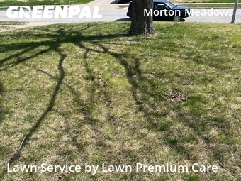 Lawn Mow nearby Omaha, NE, 