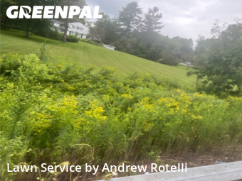 Yard Cutting nearby Baldwinsville, NY, 