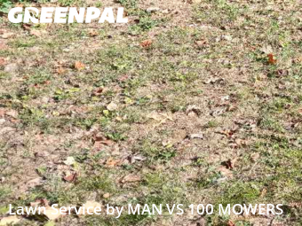 Lawn Maintenance nearby Overland, MO, 