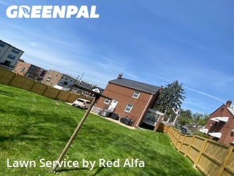 Lawn Cutting nearby Suitland, MD, 