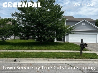 Lawn Cutting nearby Canal Winchester, OH, 