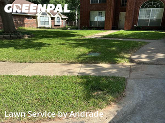 Grass Cut nearby Grand Prairie, TX, 