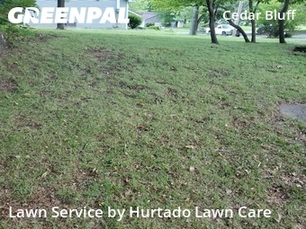 Yard Cutting nearby Knoxville, TN, 