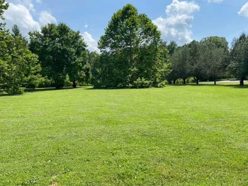 Champion Lawn Care Lawn Care Services in Chapmansboro, GA