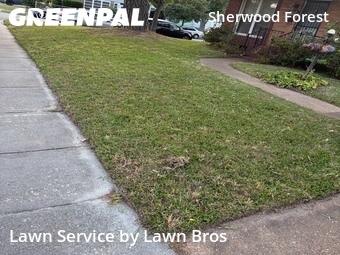 Residential Landscaping In Norfolk,23513,Landscaping Maintenance by Lawn Bros, work completed in Jun , 2026
