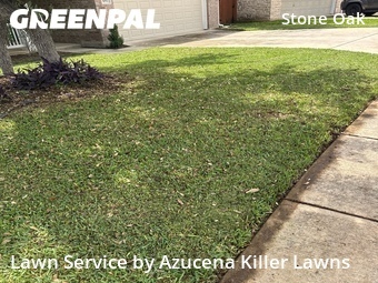Lawn Cut nearby San Antonio, TX, 