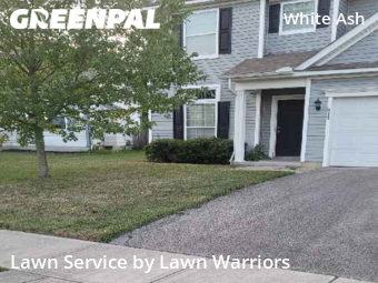 Lawn Mow nearby Canal Winchester, OH, 
