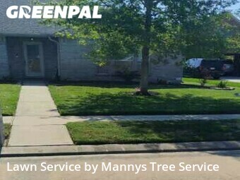 Lawn Mowing Service nearby League City, TX, 