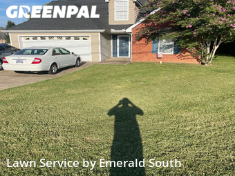 Grass Cutting nearby Murfreesboro, TN, 