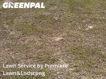 Lawn Cut nearby Pace, FL, 