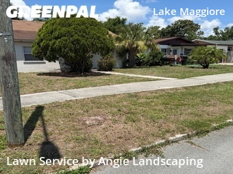 Grass Cutting nearby St. Petersburg, FL, 