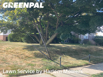 Local Lawn And Landscape Maintenance Services Near Me In Yonkers,10704,Landscaping Cleanup by Harlem Mowers, work completed in Oct , 2025
