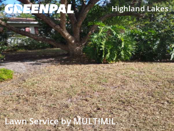 Grass Cutin Clearwater,33756,Grass Cutting by MULTIMIL , work completed in Dec , 2025