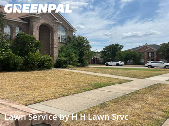 Yard Cutting nearby Plano, TX, 