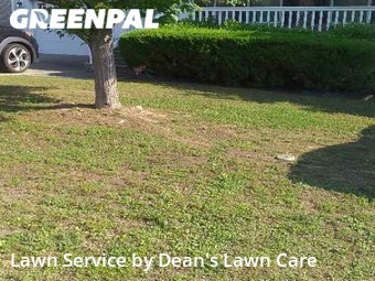 Lawn Mow nearby Raleigh, NC, 