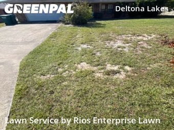 Yard Grooming in Deltona, 32725, Yard Maintenance by Rios Enterprise Lawn, work completed in Nov , 2025