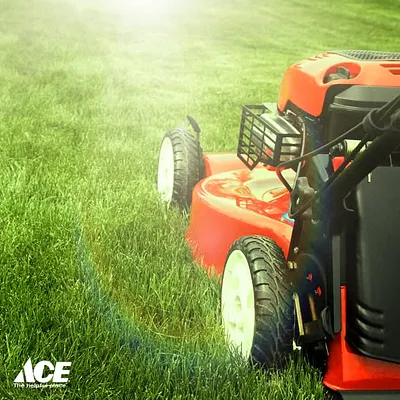 Ace Outdoor Power Equipment Sales & Service Photo 15
