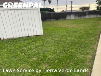 Commercial Landscaping In Garden Grove,92841,Landscaping Maintenance by Tierra Verde Lands, work completed in Feb , 2026