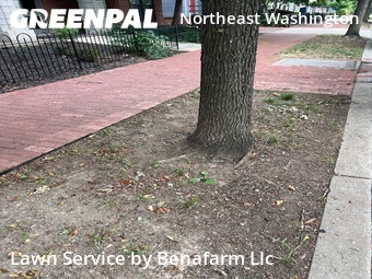 Lawn Mowing Service nearby Washington, MD, 