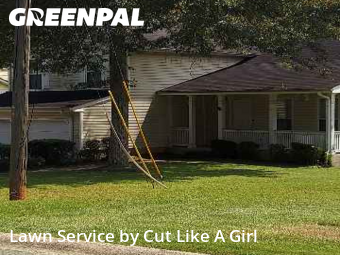 Yard Upkeep in Douglasville, 30134, Turf Services by Cut Like A Girl , work completed in Nov , 2025
