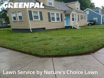 Lawn Mow nearby Norfolk, FL, 