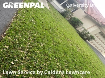 Grass Cut nearby Coral Springs, FL, 