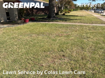 Lawn Mow nearby Plano, TX, 