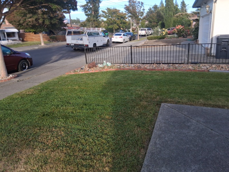 Lawn mowing work by Mychal's Residential in Novato, CA
