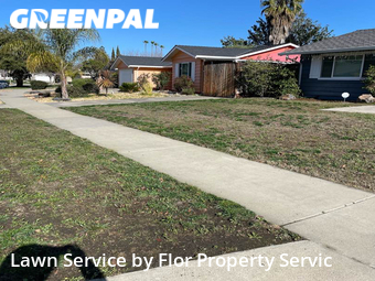 Grass Cut nearby San Jose, CA, 