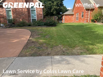 Lawn Cut nearby Plano, TX, 
