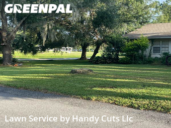 Grass Cut nearby Bartow, FL, 