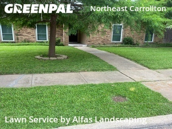Landscape Design In Carrollton,75007,Landscaping by Alfas Landscaping, work completed in Jun , 2026