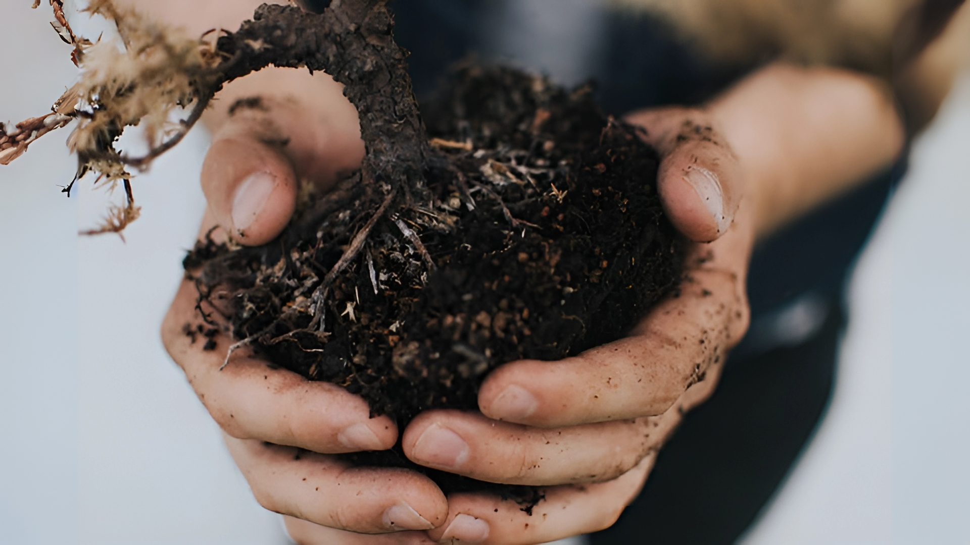 What can you compost and How to Start Your Composting Journey? By Greenpal