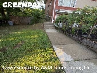 Lawn mowed in Baltimore, 21212