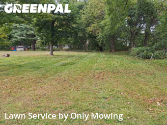 Grass Cut nearby Delmar, NY, 
