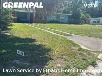 Grass Cutting nearby Jacksonville, FL, 