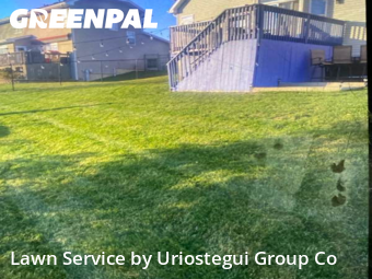 Lawn Mow nearby Winthrop Harbor, IL, 