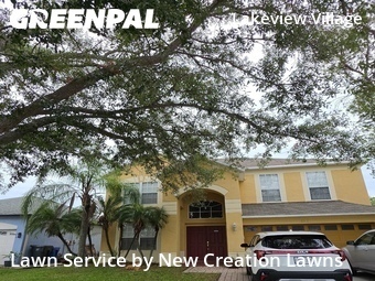 Lawn Mowingin Brandon,33510,Lawn Mow by New Creation Lawns, work completed in Jun , 2026
