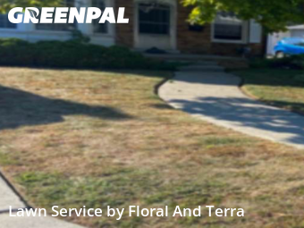 Grass Cut nearby Eastpointe, MI, 