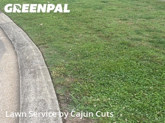 Lawn Maintenance nearby Murfreesboro, TN, 