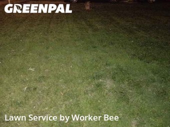 Lawn Service nearby Denver, CO, 