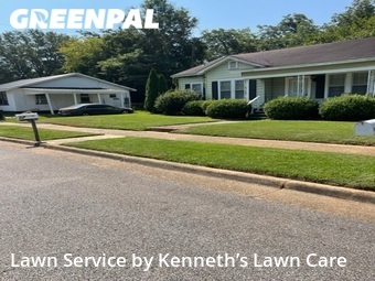 Lawn Cut nearby Tuscaloosa, AL, 