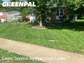 Lawn Cut nearby Webster Groves, MO, 