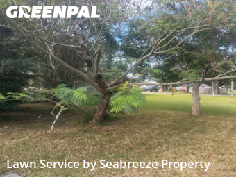 Yard Maintenance in Niceville, 32578, Yard Services by Seabreeze Property , work completed in Nov , 2025
