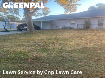 Lawn Management in Auburndale, 33823, Yard Work by Cnp Lawn Care, work completed in Nov , 2025